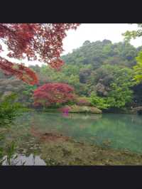 Hangzhou’s Hidden Gem-Nine Creeks and Misty Trees