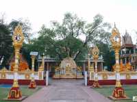 วัดพระธาตุหนองบัว
