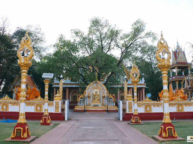 วัดพระธาตุหนองบัว