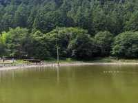 #明池國家森林遊樂區-宜蘭縣大同鄉