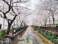 Yeojwacheon Romance Bridge review