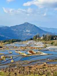 Yuangyang 🌏 🌱 