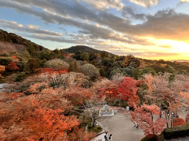 Discovering the Magic of Kiyomizu-dera ✨ | Kyoto’s Must-Visit Spot for Every Young Explorer