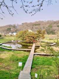 Spring Stroll at Itsukushimashissei Park