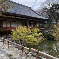 【福岡県北九州市小倉🇯🇵小倉城庭園】歴史を感じる庭園へ☺️
