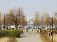 平日漢江公園驚見超浪漫野餐景象！情侶在草地上看韓劇，這才是韓國人最愛的放鬆方式在韓國的平日午後