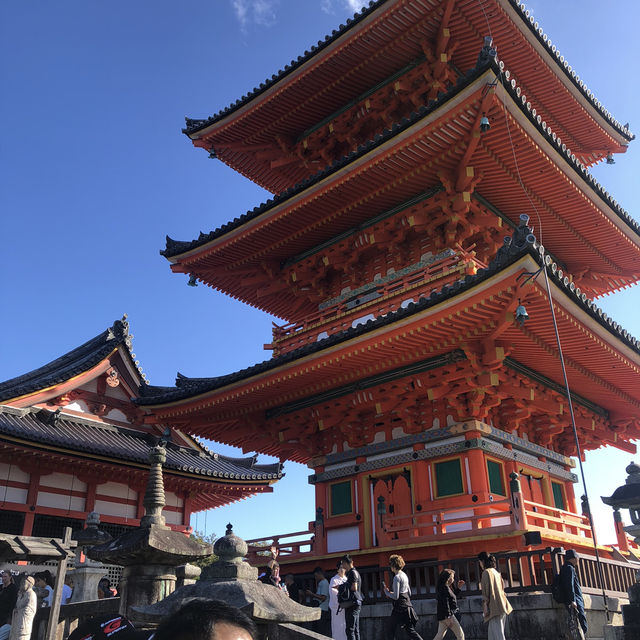 교토의 역사와 전통 “기요미즈데라”⛩️