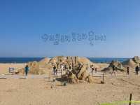 바다가 보고싶어서 떠났던 부산바다여행 당일치기