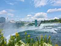 Spring at the Rainbow International Bridge