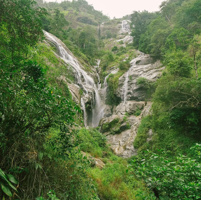 ‘เปรโต๊ะลอซู ตาก‘ 