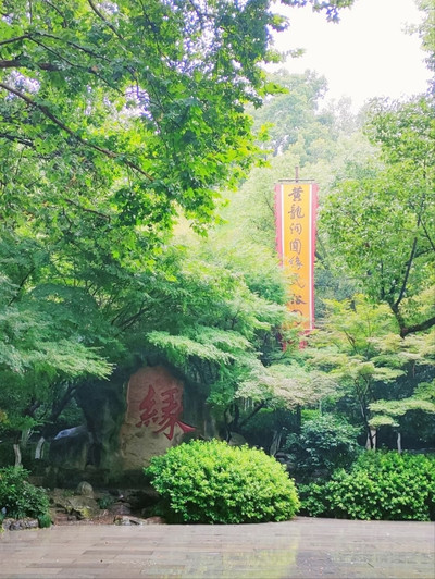 Чудо-дерево(不思議な木)

幼児用絵本　洋書 Huanglong Cave– Hangzhou's Hidden Daoist Oasis | Trip.com