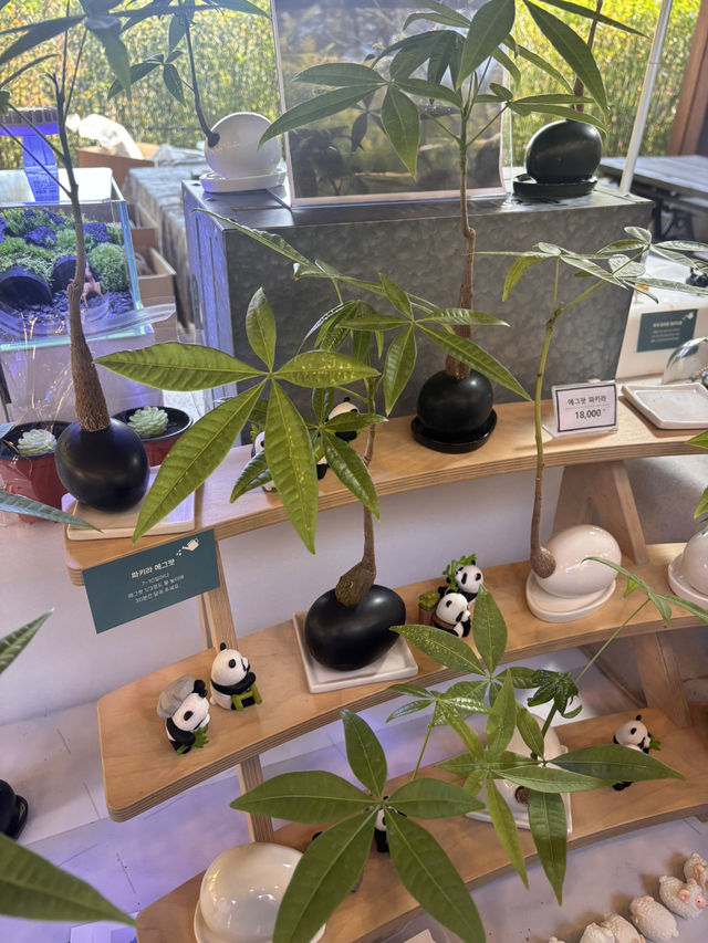 🍁 단풍이 내려앉은 숲, 가을의 화담숲 🌳✨ 