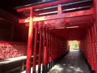 【犬山城の麓で歴史と祭りを感じる「針綱神社」】