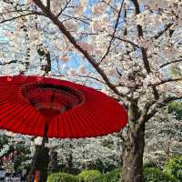 Ueno Park, Tokyo