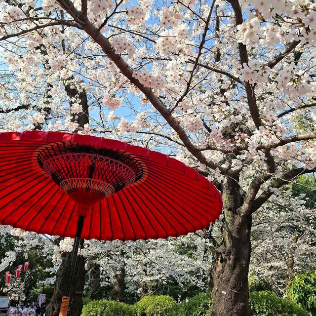 Ueno Park, Tokyo