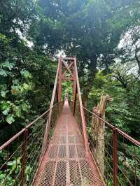 Monteverde Cloud Forest Reserve, Costa Rica – Misty Forest with a Green Soul