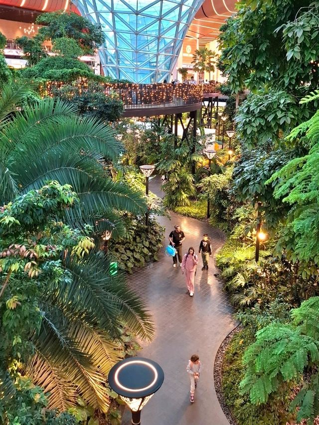 DISCOVER THIS GREEN GEM IN HAMAD INTERNATIONAL AIRPORT
