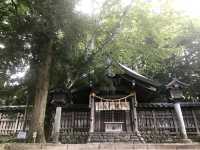 諏訪の自然と文化を味わう旅へ！諏訪大社×高原美術館×美しの塔⛩️⛰️🖼️ 