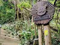 新店小獅頭山登高望遠去