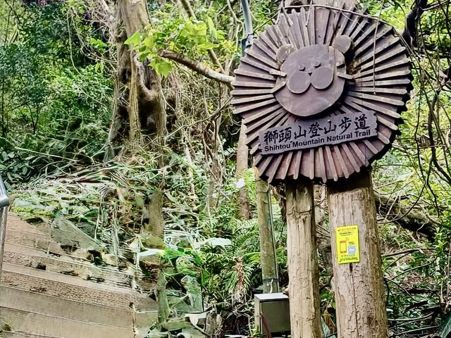新店小獅頭山登高望遠去
