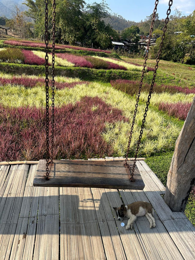Walk Through the Heart of Pai