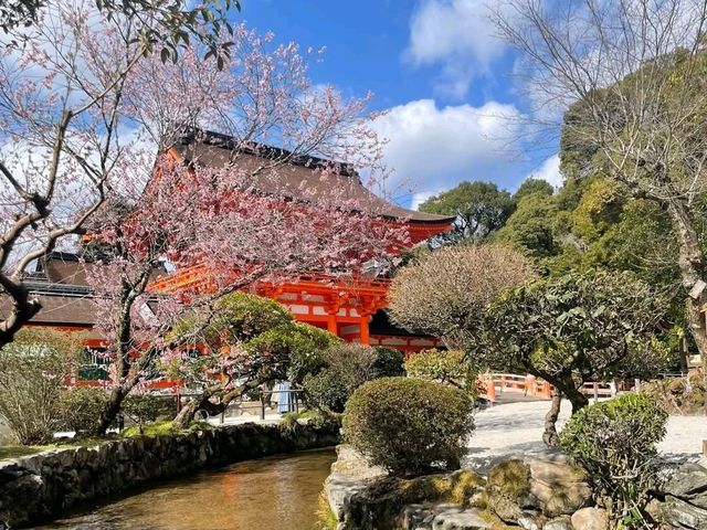 京都洛北最古老的神社賞櫻---上賀茂神社