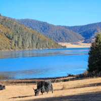 Potatso National Park: A Natural Wonderland