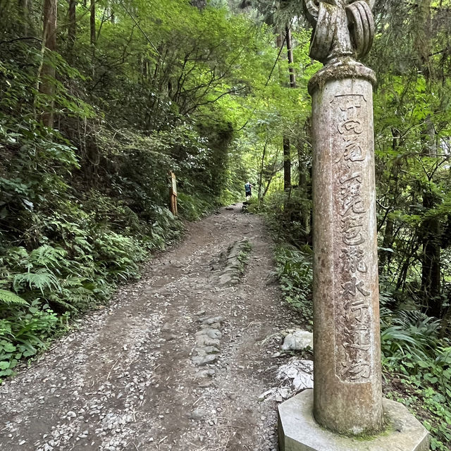 【高尾山】⛰️ 人気のお山