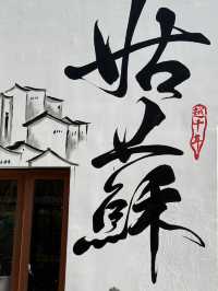 Suzhou day trip from Shanghai. 