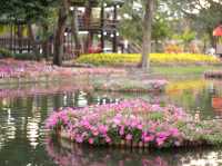 งานมหกรรมไม้ดอก-ไม้ประดับ ที่หนองบวกหาด เชียงใหม่