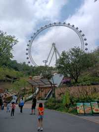 親子景點 - 免費入場龍崗兒童公園