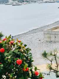 Maemi Castle: A Seaside April Escape in Geoje 