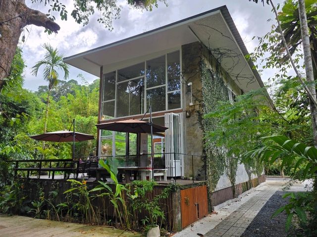 บ้านในหมง คาเฟ่ในป่า บรรยากาศสบายๆ