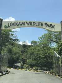 🦧 Lok Kawi Wildlife Park: Where the Wild Things Chill! 🌿