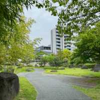 石神井公園 | 寧靜中的綠意