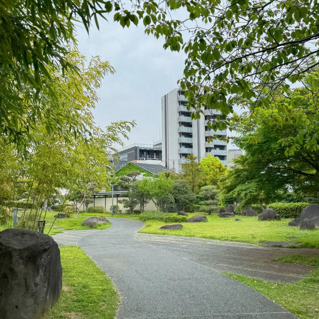 石神井公園 | 寧靜中的綠意