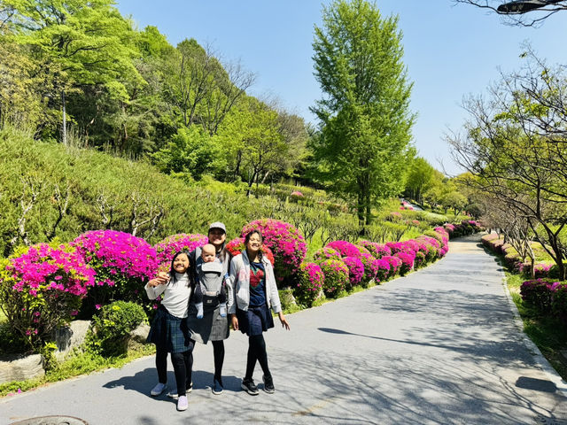 Hike Through The Magic of Hanyangdoseong