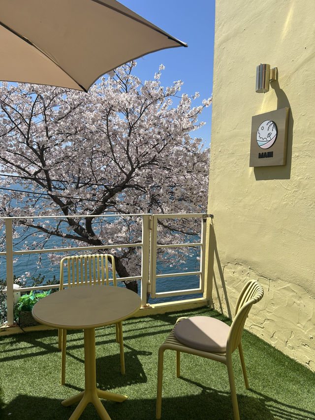 <釜山＞充滿文藝氣息的❤️白淺灘文化村❤️