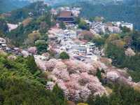 Mount Yoshino Cherry Blossoms: Japan’s Most Epic Sakura Destination