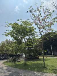 台北｜圓山一日遊｜歷史、文化與自然的完美體驗