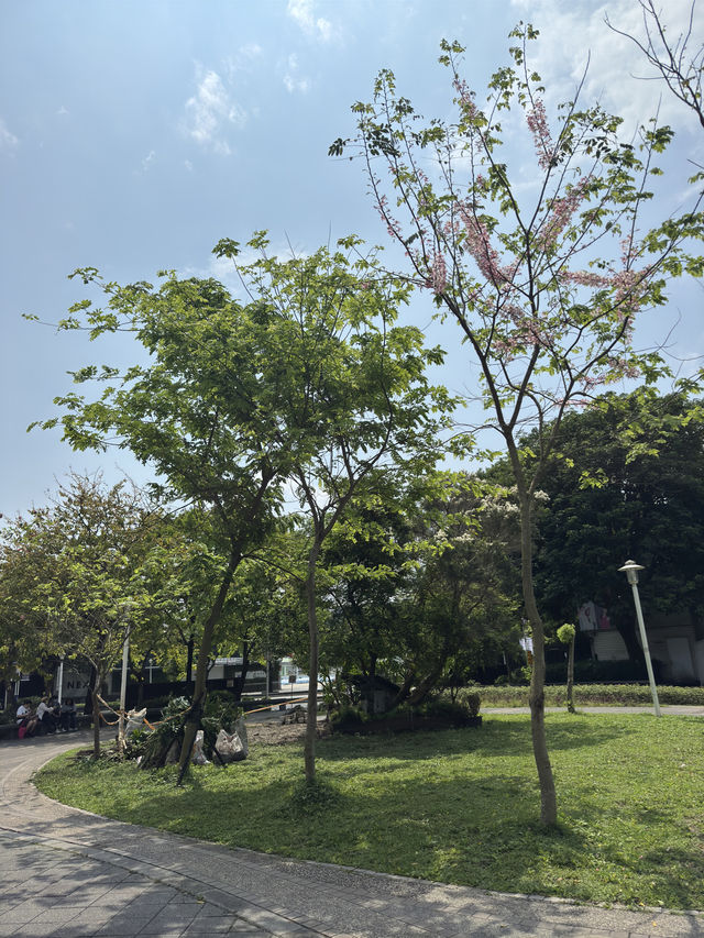 台北｜圓山一日遊｜歷史、文化與自然的完美體驗