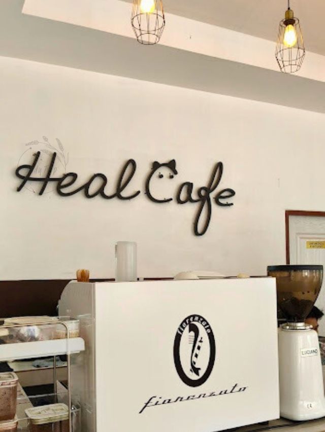 🍶 My healing Cafe