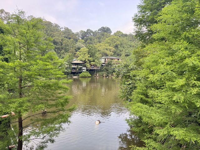 新竹峨眉-十二寮大埤一日遊、湖光山色、輕鬆漫步超療癒！ 