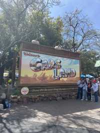 【アメリカ・カリフォルニア】夢の国🎡✨ ディズニー・カリフォルニア・アドベンチャー・パーク 