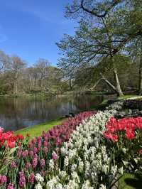 A day in Keukenhof