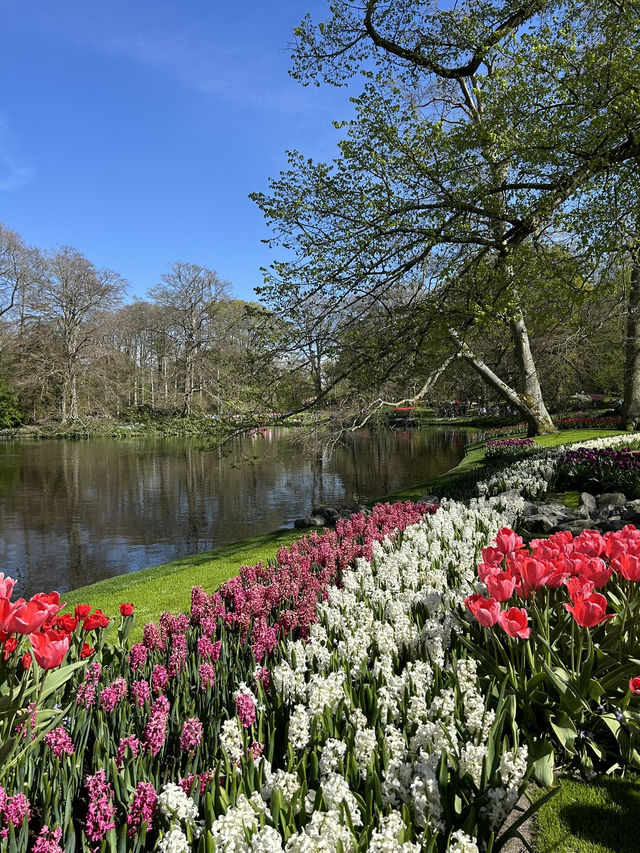 A day in Keukenhof