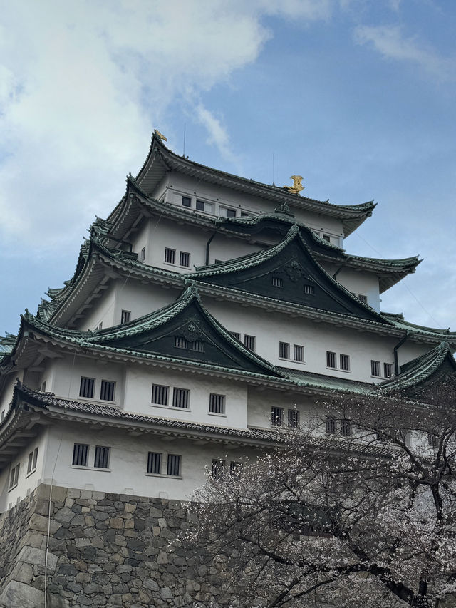 나고야성에서 기념품 쇼핑하기 🏯