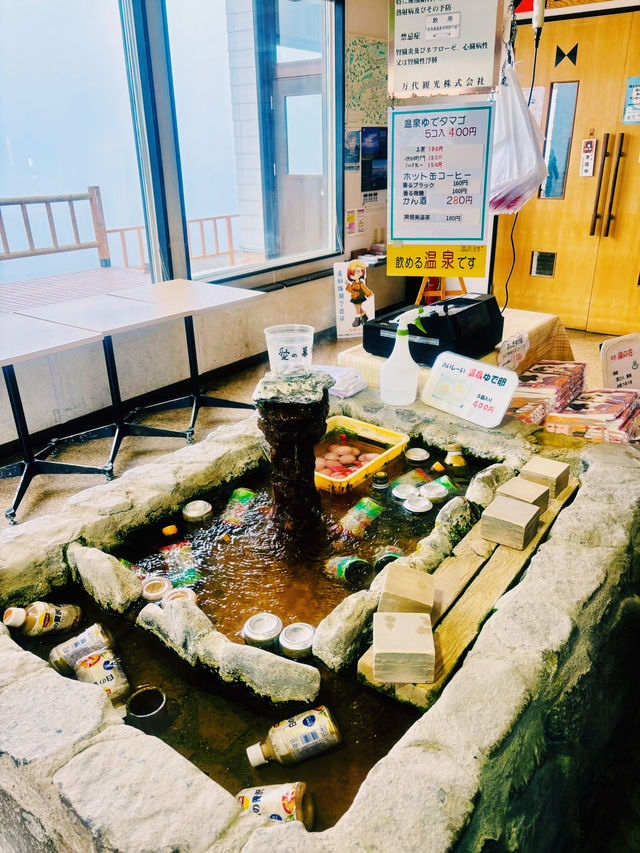 【北海道】屈斜路湖：在日本最大的破火山口湖觀賞天鵝