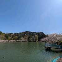 Suzaka Garyu Park, Nagano