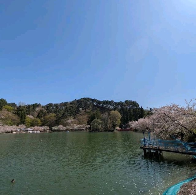 Suzaka Garyu Park, Nagano